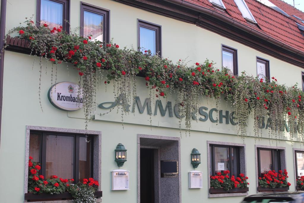 Ammerscher Bahnhof Muehlhausen  Exterior photo
